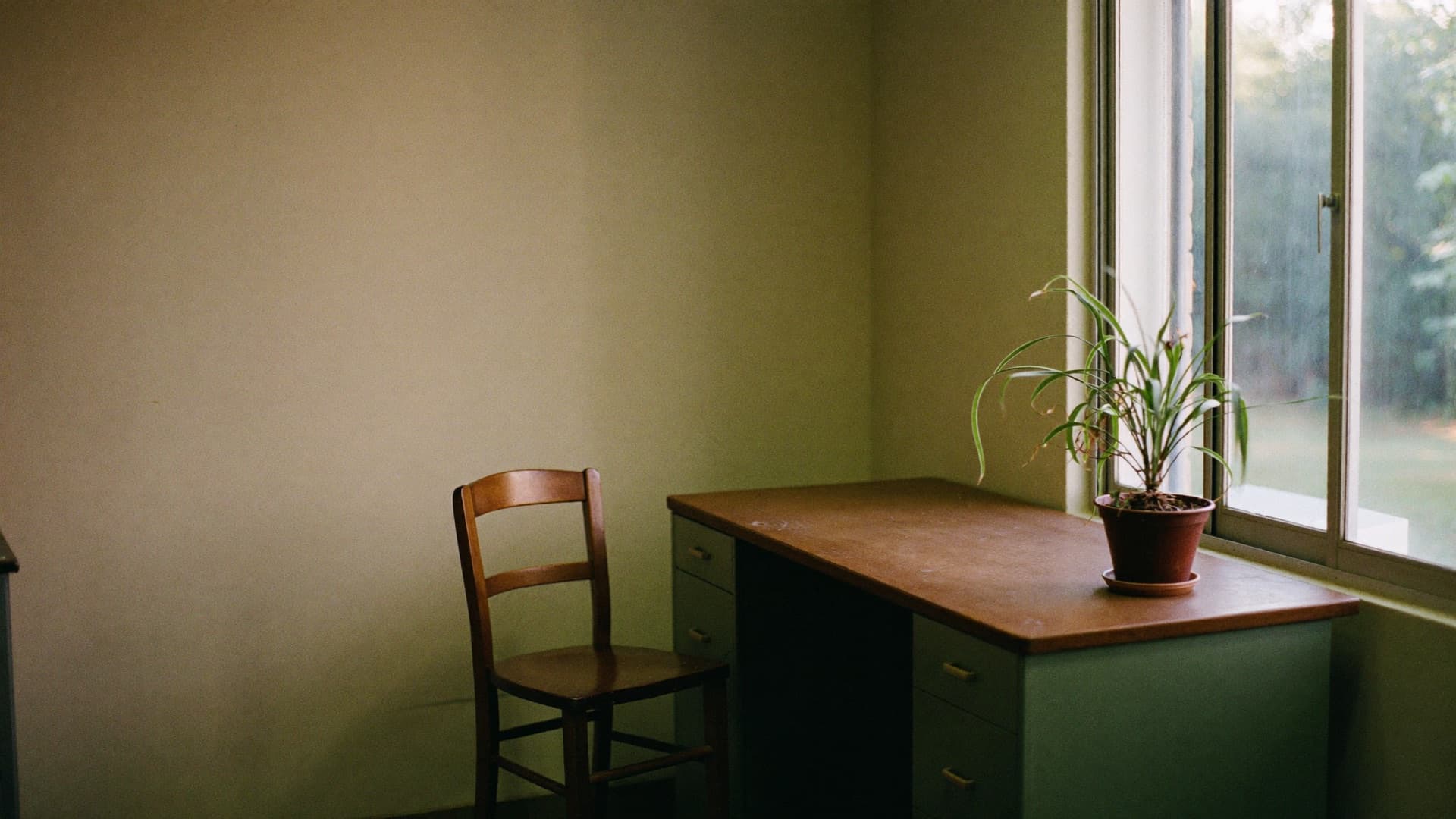 A desk with a potted plant and a wooden chair beside a window