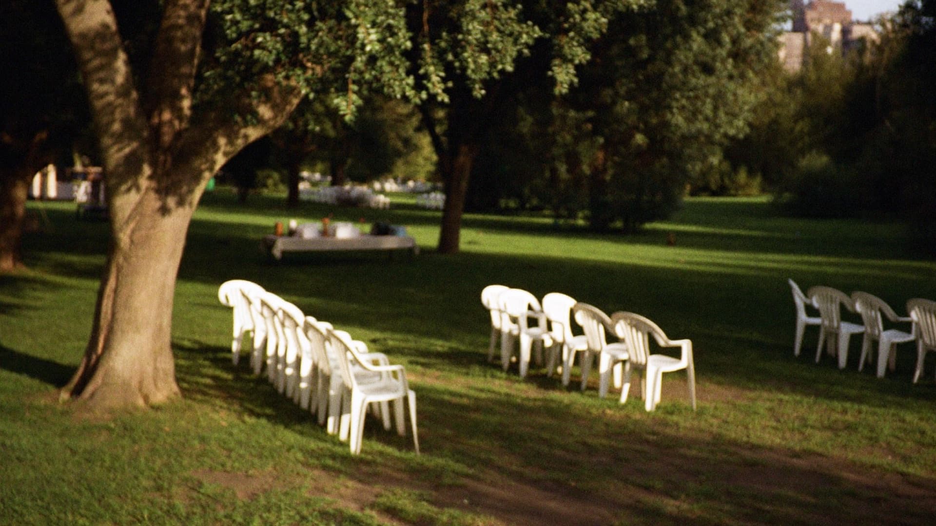 Rows of empty white plastic chairs on grass under large trees in late afternoon light, with a cloth-covered table beyond